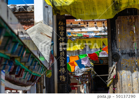 中国 チャイナ 磁器 50137290