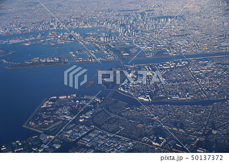 上空より葛西臨海公園 50137372