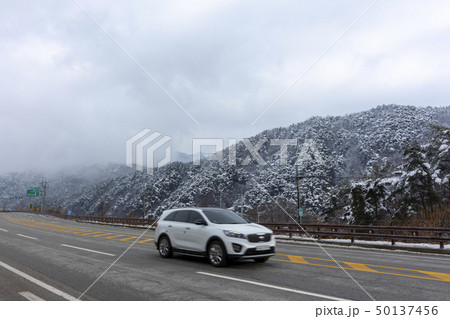 江原道 冬 木 50137456