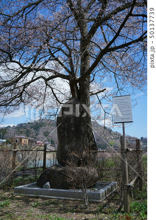 ろうかく梅園:石碑 長野市信州新町 ろうかく梅園:石碑 長野市信州新町 50137739