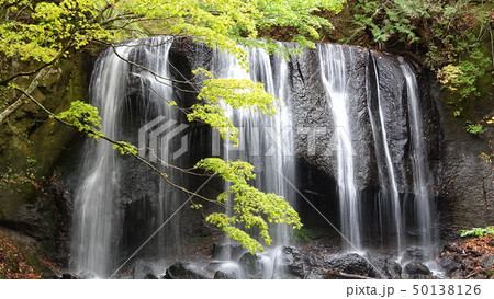秋の達沢不動滝(福島県・猪苗代町) 秋の達沢不動滝(福島県・猪苗代町) 50138126