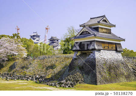今こそ見に行く価値がある熊本城  満開の桜と戌亥櫓（2019年4月7日） 50138270