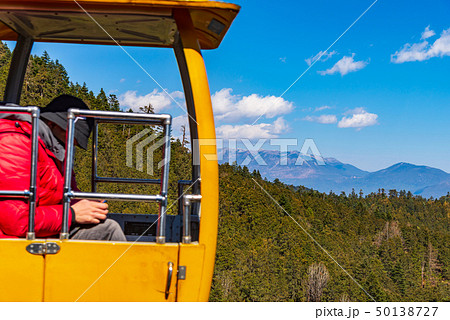 中国 チャイナ 磁器 50138727