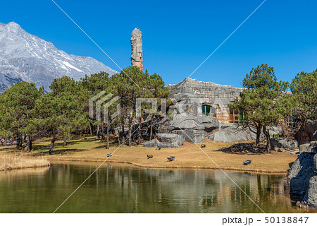 中国 チャイナ 磁器 50138847