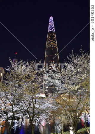 韓国 石村湖の桜風景 韓国 石村湖の桜風景 50140262