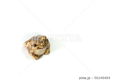 白い背景とカエルの置物 白い背景とカエルの置物 50140404