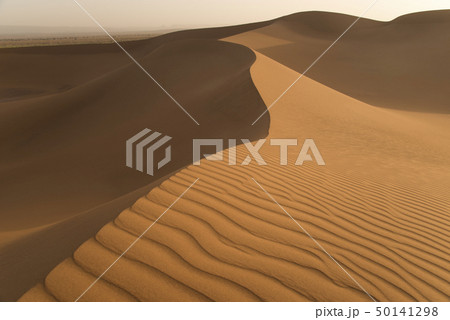 Dunes in desert Dunes in desert 50141298