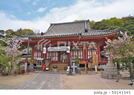 【浄土寺 本堂】 広島県尾道市東久保町 【浄土寺 本堂】 広島県尾道市東久保町 50141345
