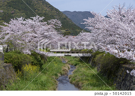 一の坂川 50142015