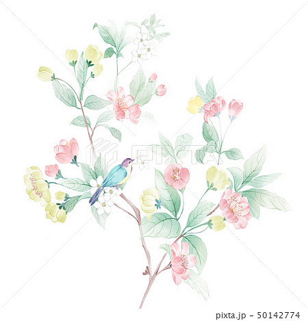 透明水彩 水彩画 花 50142774