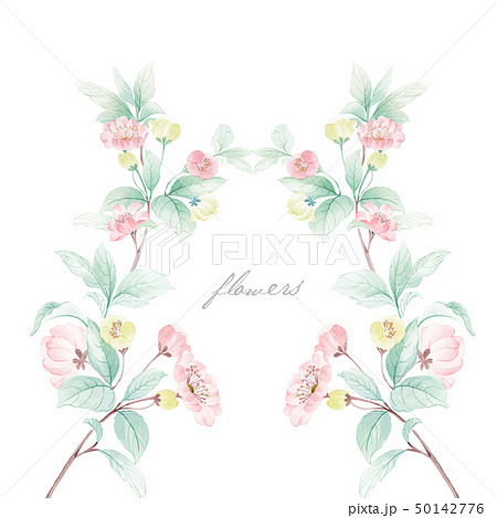 透明水彩 水彩画 花 50142776