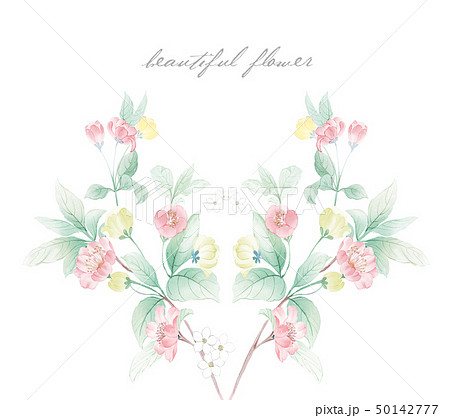 透明水彩 水彩画 花 50142777