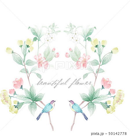 透明水彩 水彩画 花 50142778
