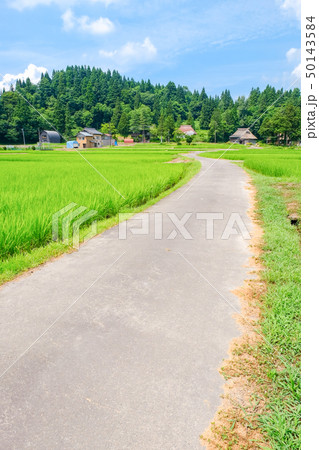 夏の農村風景 (荻ノ島環状集落) 夏の農村風景 (荻ノ島環状集落) 50143584