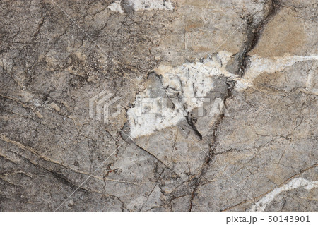 Limestone texture - background 50143901