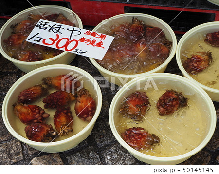 日本の魚市場の写真(ホヤ貝) 50145145