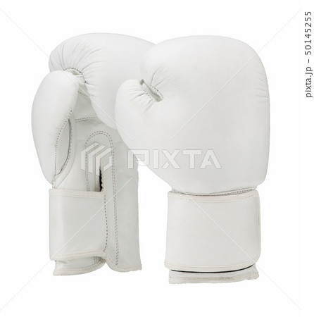 sports accessories of martial arts sports accessories of martial arts 50145255