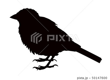 A Sparrow Body Silhouette Vectorのイラスト素材