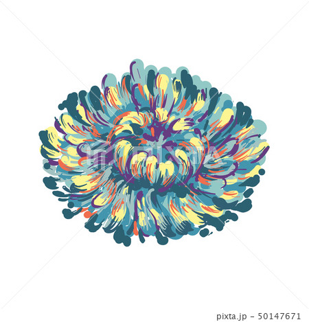 Luxurious decorative vector blue Aster flower for floral decoration, embroidery Luxurious decorative vector blue Aster flower for floral decoration, embroidery 50147671