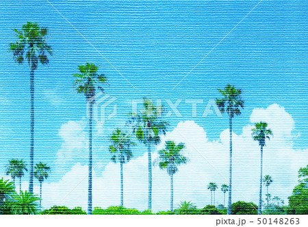 椰子の木、南の島、写真アート 椰子の木、南の島、写真アート 50148263