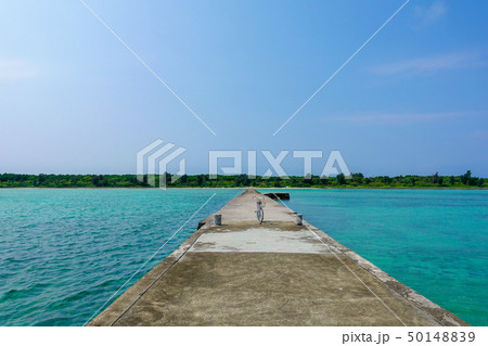 伊古桟橋 50148839