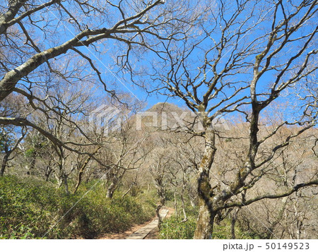 登山道から筑波山頂を望む 登山道から筑波山頂を望む 50149523