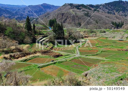 春の棚田　その201904 50149549