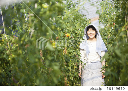 トマト農家の女性 50149650