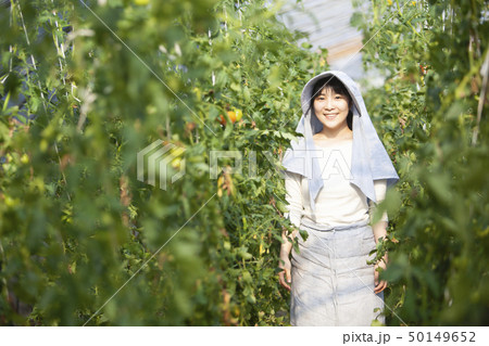 トマト農家の女性 50149652