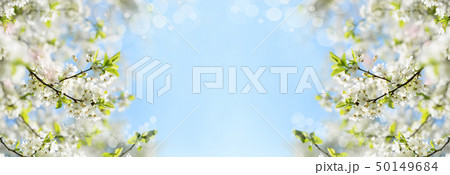 banner background with blooming trees with flower 50149684