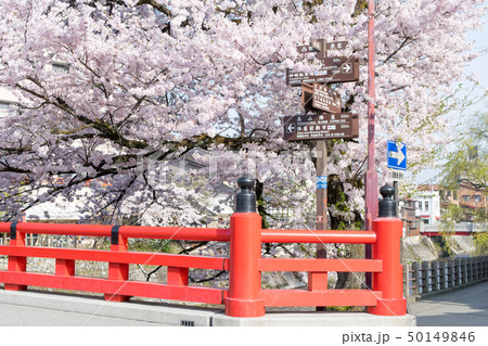 岐阜県　高山市　中橋の春 50149846