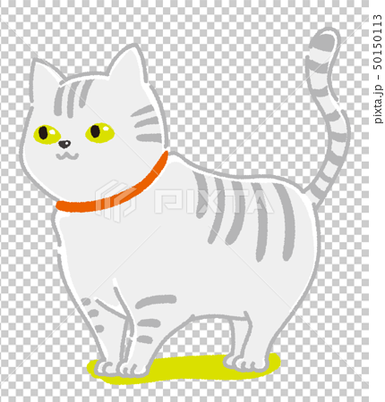 猫 マンチカン のイラスト素材 50150113 Pixta