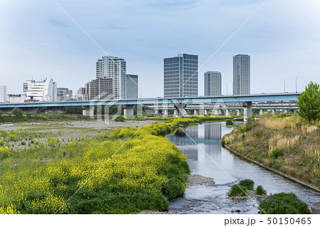 二子玉川の風景 河川敷の夕暮れの写真素材