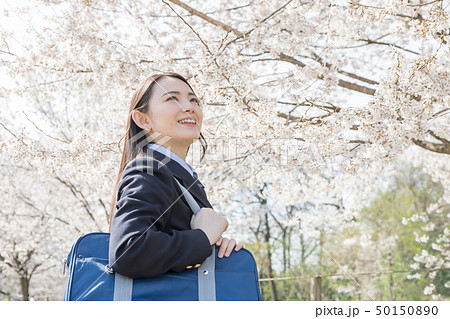 桜　女子高生　受験生 50150890