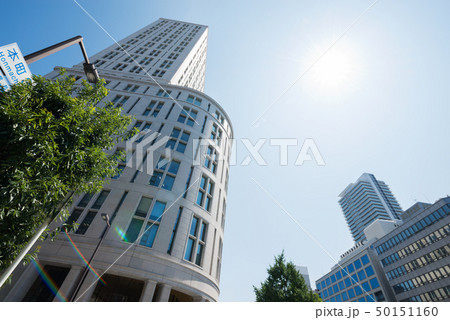 夏の本町 夏の本町 50151160