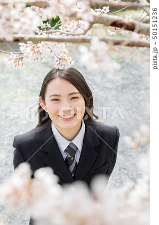 桜 女子高生 桜 女子高生 50151236