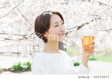 桜 女性 お花見 ビール 桜 女性 お花見 ビール 50151657