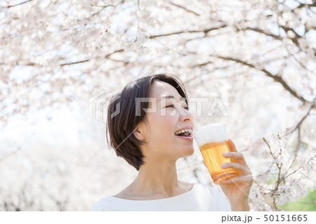 桜 女性 お花見 ビール 桜 女性 お花見 ビール 50151665