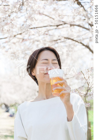 桜 女性 お花見 ビール 桜 女性 お花見 ビール 50151666
