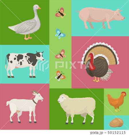 Farm life with animals banner vector illustration. Collection of cute pets. Domestic animals as cow Farm life with animals banner vector illustration. Collection of cute pets. Domestic animals as cow 50152115
