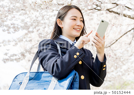桜 女子高生 受験生 スマートフォン 桜 女子高生 受験生 スマートフォン 50152444