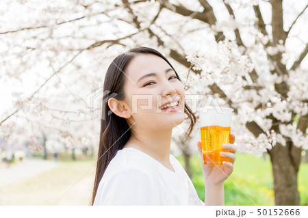 桜 女性 お花見 ビール 桜 女性 お花見 ビール 50152666