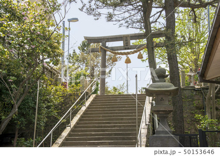 小動神社(鎌倉市腰越) 小動神社(鎌倉市腰越) 50153646