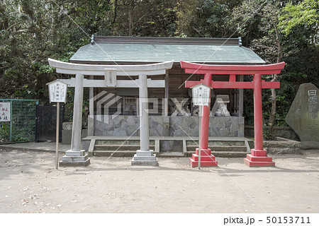 小動神社の金比羅宮と稲荷社（鎌倉市腰越） 50153711