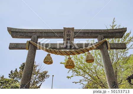 小動神社（鎌倉市腰越） 50153713