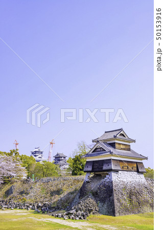 今こそ見に行く価値がある熊本城 満開の桜と戌亥櫓(2019年4月7日) 今こそ見に行く価値がある熊本城 満開の桜と戌亥櫓(2019年4月7日) 50153916