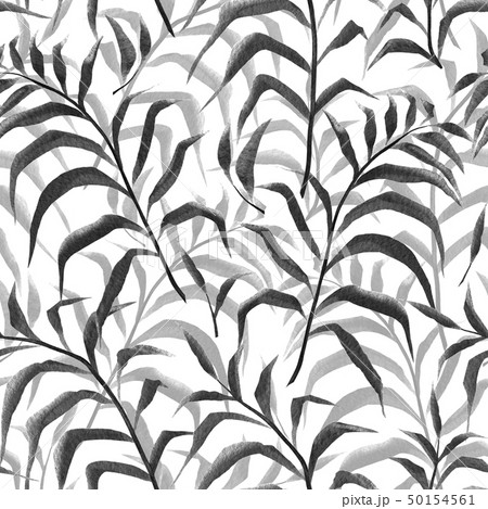 Seamless pattern. Palm leaves 50154561