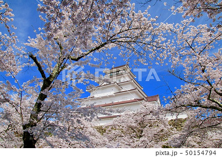 春の鶴ヶ城（福島県・会津若松市） 50154794