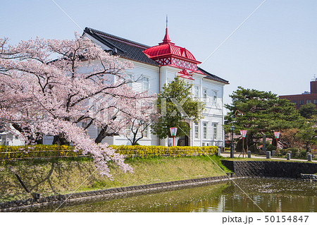 花咲く鶴岡公園 50154847