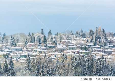 Suburban residential houses in snow on winter day 50156031